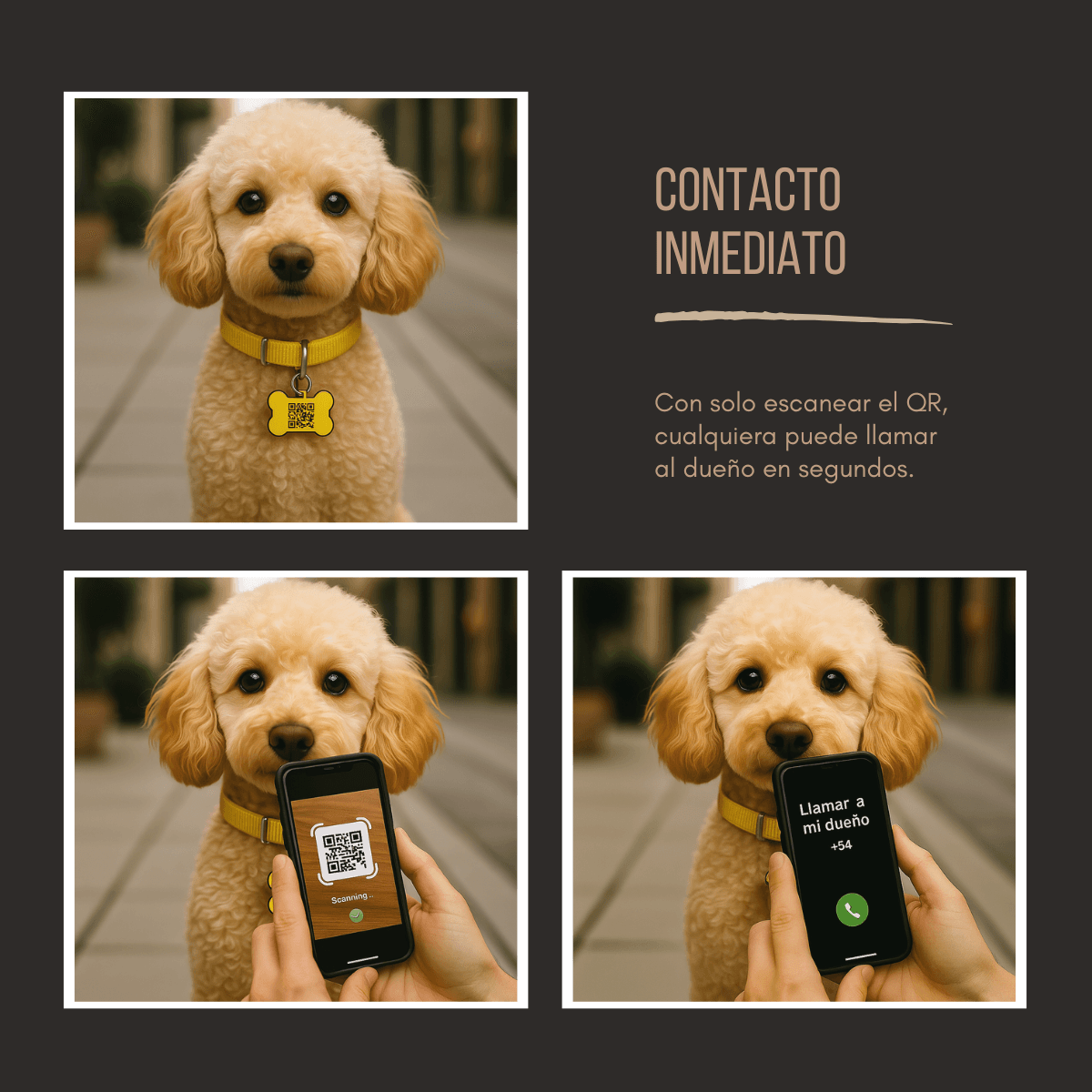 Placa QR Anti-pérdida Mascota – Contacto Instantáneo del Dueño - view 1